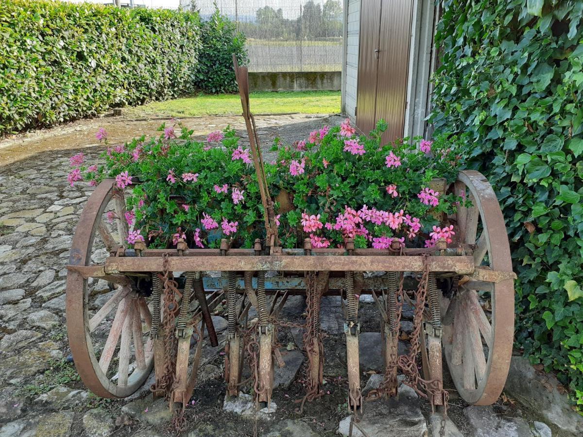 Bed and Breakfast La Fiora Sansepolcro Exterior foto