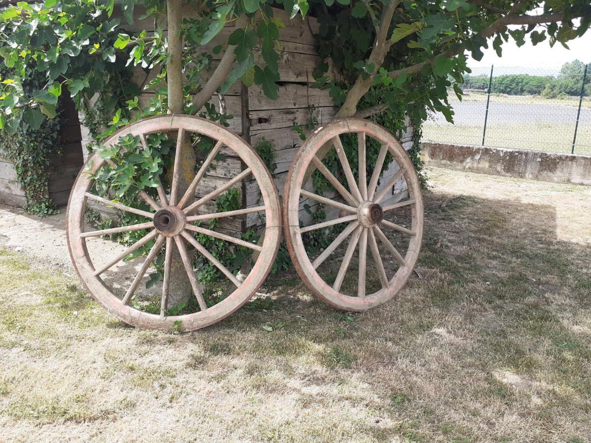 Bed and Breakfast La Fiora Sansepolcro Exterior foto